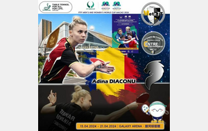 🏓Coupe du monde 2024 🏓