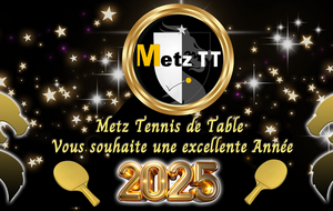 Meilleurs Voeux 2025