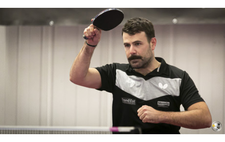 RÉSULTATS du WEEK END 9 et 10 Novembre - CHAMPIONNATS PAR ÉQUIPES